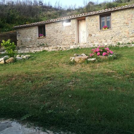 Il Cerro Agriturismo Zagarese Fuscaldo Kültér fotó