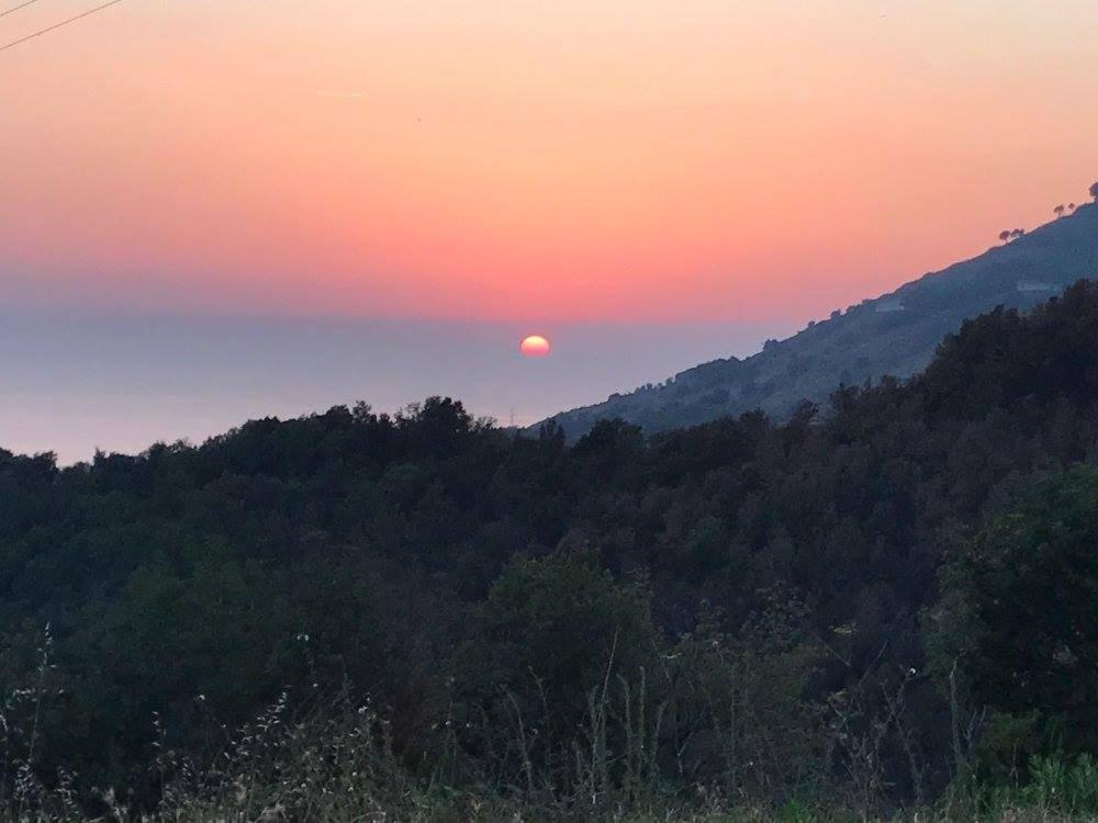 Il Cerro Agriturismo Zagarese Fuscaldo Kültér fotó
