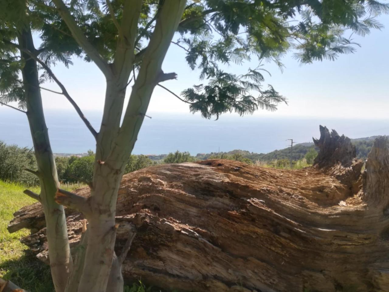 Il Cerro Agriturismo Zagarese Fuscaldo Kültér fotó